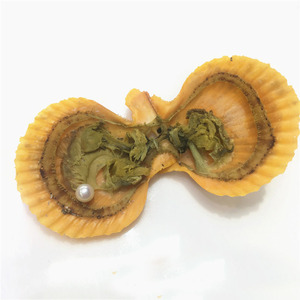 Nước Biển <span class=keywords><strong>Red</strong></span> Oyster Akoya Pearl Oyster Với Ngọc Trai Tự Nhiên Tròn 6-8Mm - Product Image 3