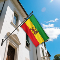 Drapeau personnalisé Rasta Lion en polyester, bannière extérieure verte, jaune, rouge, style éthiopien, drapeau mural avec œillets en laiton