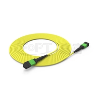 Kabel Patch Cord Fiber Optik MPO MTP 8 12 24 Fiber OS2 OM3 OM4 Trunk dan Kabel Fanout LC untuk Pusat Data