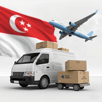 Logistique Ddp Agent de transport de la Chine à Singapour importation de porte à porte moins cher transitaire de fret aérien Yiwu Xiamen