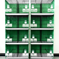Cage à oiseaux en métal spacieuse, vente directe d'usine, cage d'élevage en fil métallique, anticorrosion, empilable, pour perroquets, oiseaux, canaris