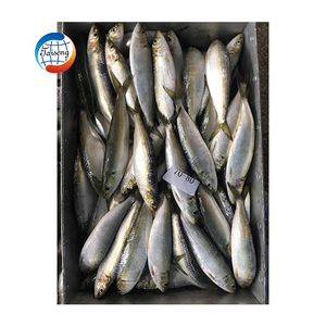 <span class=keywords><strong>Sardinas</strong></span> <span class=keywords><strong>de</strong></span> caballa congeladas al por mayor en embalaje HGT, producto <span class=keywords><strong>de</strong></span> exportación <span class=keywords><strong>de</strong></span> pescado <span class=keywords><strong>de</strong></span> alta calidad - Product Image 3