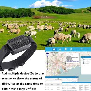 GPS-Kuh-Tracker Echtzeit-Verfolgung von Rindern Schaf- und Ziegen-Ortungsgerät Positionierung Geo-Zaun-Alarm Nutztier-Tracker - Product Image 2