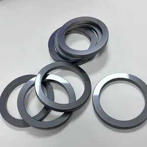 Pumpe Gleit ring dichtung Silikon karbid G60 Sic Ringe