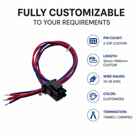 Kabel Harness Otomotif Tembaga Berlapis Timah OEM Kustom 200/300/400/500mm 600V dengan Isolasi PVC untuk Perakitan Kabel Mesin Komputer