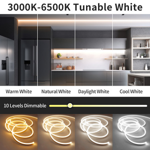 Feican Ngoài Trời Neon Dải Ánh Sáng Dual-Màu <span class=keywords><strong>LED</strong></span> 3000K-6000K USB Kết Nối 24V Nhựa Cơ Thể Điều Khiển Bằng Giọng Nói Chế Độ Cho Trang Trí - Product Image 4