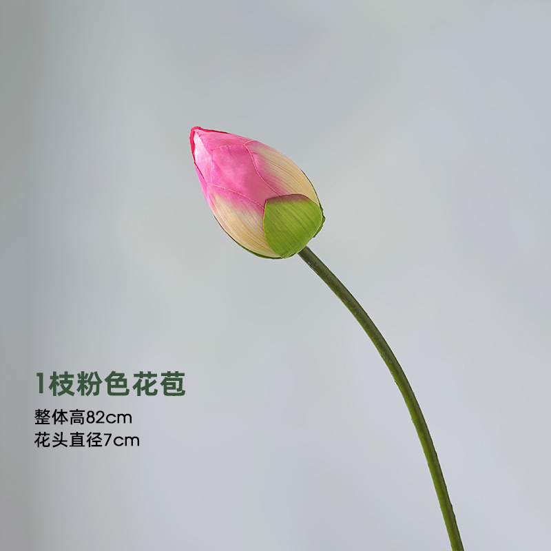 Lotus - 1 bouton rose