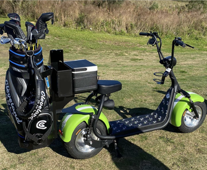 Scooter Eléctrico Plegable Loyal de 3000W, Impermeable, con GPS, Dos Asientos para Adultos, Tipo Citycoco, Carrito de Golf, Batería de Litio - Product Image 6