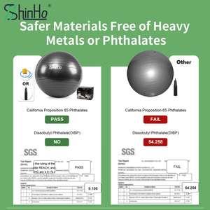 Bola Yoga Pilates Anti Pecah Multifungsi Shinho Wholesale, Bola Stabilitas Anti Selip untuk Latihan Keseimbangan Inti, Terapi Kebugaran dengan OEM - Product Image 3