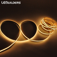 Guirlandes lumineuses LED pour aménagement paysager 24V RA90 10mm Largeur du circuit imprimé Corps en cuivre Lampe Mode de contrôle par application Découpable Dimmable CE RoHs