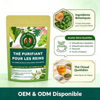 OEM Thé Purifiant Pour Les Reins, Tisane Naturelle de Soutien Rénal et Vésical, Favorise la Détoxification et un Urage Facilité, Sachets de Thé Bien-être