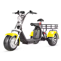 Scooter Eléctrico de 3 Ruedas, 4000W, 60AH, Motor Dual Potente, Triciclo Eléctrico Citycoco