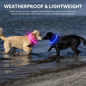 Collier lumineux à Led pour <span class=keywords><strong>chien</strong></span>, avec Logo personnalisé, ajustable, lumineux, résistant à l'eau, pour chiot, Premium - Product Image 4