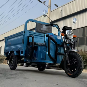 Triciclo de Gran Capacidad de 1500W, Venta al por Mayor de Fábrica, Motocicleta de 3 Ruedas - Product Image 2