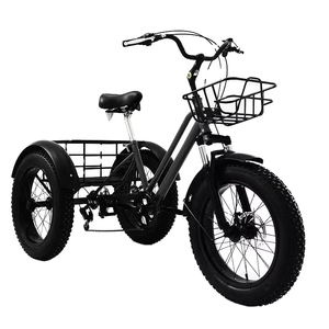 Triciclo Eléctrico 2024 Nuevo de 7 Velocidades con Llantas Anchas, Bicicleta Eléctrica de Carga de 3 Ruedas con Neumáticos para Nieve - Product Image 3