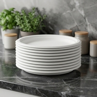 Plato Ovalado de Bagazo Biodegradable de 10 Pulgadas Directo de Fábrica, Contenedor Clásico Ecológico Desechable para Alimentos, Ideal para Eventos