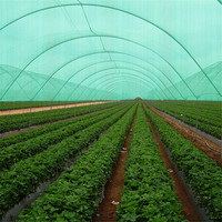 Filet d'ombrage en HDPE anti-UV blanc, vert, noir pour l'agriculture, rouleau d'ombrage en plastique, voiles et filets d'ombrage pour usage extérieur