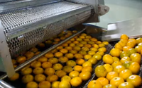 Volledige Natuurlijke Sap Productielijn Vruchtensap Productielijn Juicer Productielijn Verwerkingsmachine