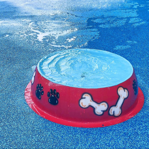 Puppy Splash Pad Pet Bowl Outdoor Training Dog Playground Equipment Dog <strong>Park</strong> With Water for <strong>Swimming</strong> - Product Image 1