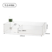 Réservoir d'élevage de tortue Lucency Rectangle aménagement paysager écologique réservoir d'aquaculture spécialisé maison animal de compagnie décorer accessoire