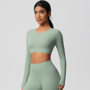 Bán Buôn Hot Bán Phụ Nữ Dài Tay Áo Top Biểu Tượng Tùy Chỉnh Nén Áo Sơ Mi Tập Thể Dục Yoga Top Với Cho Phụ Nữ - Product Image 1