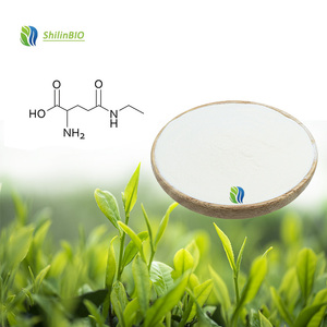 SLBIO Extracto <span class=keywords><strong>de</strong></span> Té Verde con L-Teanina <span class=keywords><strong>de</strong></span> Alta Calidad CAS 3081-61-6  20% 40% 98% Polvo <span class=keywords><strong>de</strong></span> Teanina - Product Image 1