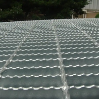 Grille en acier galvanisé à chaud dentelée avec surface antidérapante
