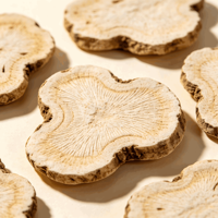 Rhizome d'Atractylodes Blanc Brut Non Transformé en Vrac, Herbe Médicinale Chinoise pour la Formulation de Suppléments sous Marque Privée