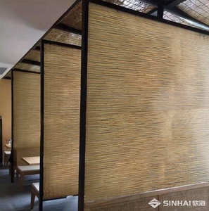 8 मिमी और 10 मिमी पीसी शीट पॉलीबांस पैनल आधुनिक छत डिजाइन के लिए पारदर्शी बांस खोखली पॉलीकार्बोनेट शीट - Product Image 3