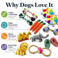 Jouet interactif en corde de coton résistant à la mastication pour chien, motif dessin animé mignon et original, pour usage quotidien, petites et moyennes tailles