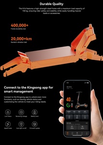 Scooter Eléctrico para Adultos al por Mayor, Neumático de Vacío de 11 Pulgadas, Batería Extraíble de Alta Resistencia, Scooters Todoterreno en Venta, Largo Alcance de 90 km - Product Image 2