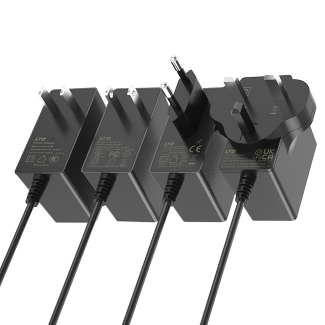Customized 12W 24W 36W Plug in Power Adapter UL62368 Certified12V1A 2A 3A  Power Supply with AC/DC Ports OTP Protection LYD