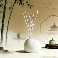 Diffuseur d'arômes liquides en porcelaine élégant, flacon de parfum moderne pour salle de bain et spa, senteurs au choix