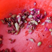 Industriële Geavanceerde Nopal Cactus Fruit Pulp En Zaad Separator Machine Met Hoge Opbrengst