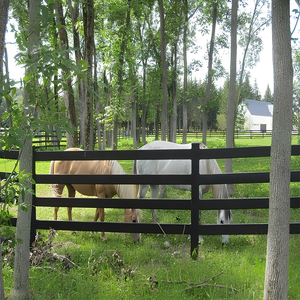 Clôture équestre robuste à 4 rails, revêtement poudré noir, pour enclos à <span class=keywords><strong>chevaux</strong></span> - Product Image 2