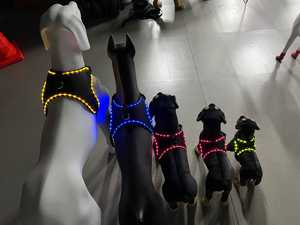 2024 नई शैली के कस्टम लोगो का नेतृत्व पालतू जानवरों का उपयोग करके उपयोगी रंगीन प्रकाश रात सुरक्षा चमकदार कुत्ते की दुकान - Product Image 6