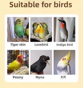 Jaula espaciosa plegable portátil para pájaros, loros y <span class=keywords><strong>canarios</strong></span>, <span class=keywords><strong>de</strong></span> alambre <span class=keywords><strong>de</strong></span> hierro, para cría en casa, con puerta. - Product Image 5