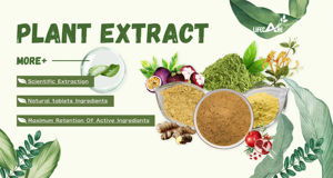 Poudre de fruits de prune européenne commune <span class=keywords><strong>Prunus</strong></span> Domestica extrait poudre de pruneaux séchés - Product Image 6