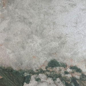 Nuovo Pannello Murale Antiurto Impermeabile Ecologico 9/12/18/22mm per Uso Residenziale e Commerciale con Motivo Spiaggia Naturale - Product Image 3