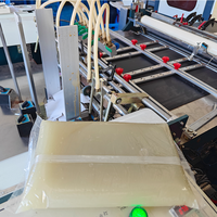 Pegamento de Gelatina Animal a Base de Silicona, Adhesivo Industrial de Fusión en Caliente para Máquinas de Pegado de Cajas de Papel, Fabricación de Cajas Rígidas y Empaquetado