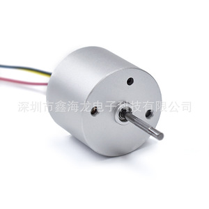 22 มม. 2219 มอเตอร์ไร้แปรงถ่าน 36V โลหะแรงบิดสูงเสียงรบกวนต่ำสำหรับยานพาหนะ Rc ของเล่นควบคุมระยะไกล - Product Image 3