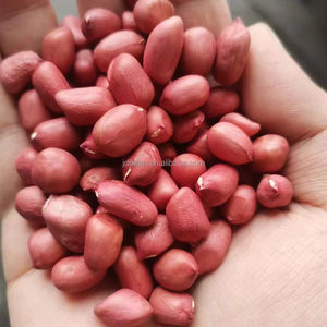 Großhandel chinesische rohe Erdnuss Preis rote Haut Erdnuss kern - Product Image 2