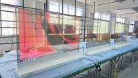 Fabricant d'écrans OLED transparents de 30 pouces OEM, affichage numérique interactif tactile, signalisation numérique pour la vente au détail, projets publicitaires commerciaux ODM