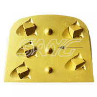 Vente chaude utilisée Lavina Machine diamant meulage chaussures PCD Segment tampons de polissage