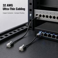 Câble Ethernet RJ45 UTP Cat6 fin de 30 cm pour commutateur réseau et rack de serveur