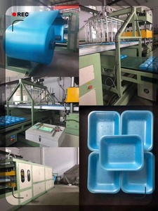 Khay Hấp Thụ Bọt Xốp Dùng Một Lần PS Khay Thịt - Product Image 2