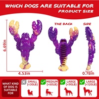 Niedliches Cartoon-Hummer-Hundespielzeug mit Rindfleischduft, weckt das Interesse des Hundes, leicht zu spülen, reinigbar, wiederverwendbar, für die Unterhaltung von Haushalts-Hunden