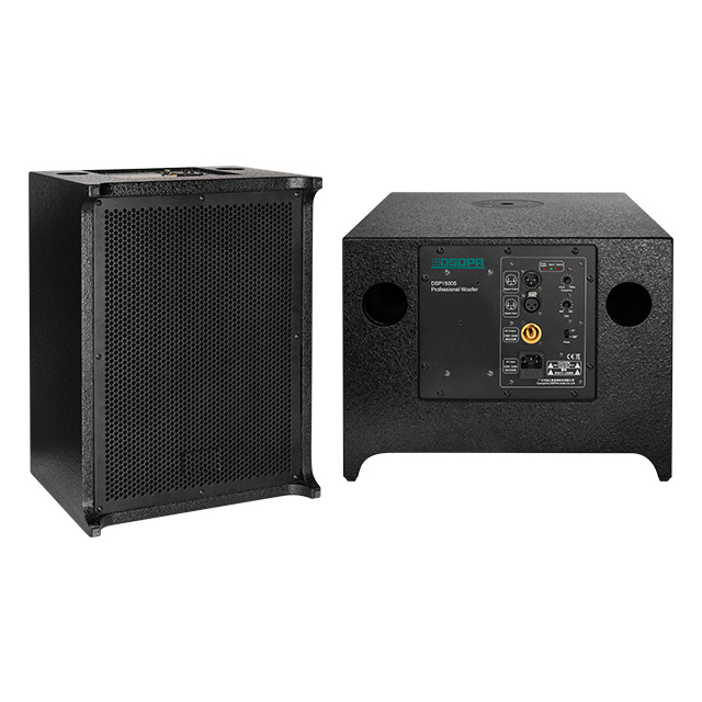 DSP1500S Active 300W Subwoofer