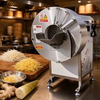 Multifunctionele groentesnijder en -schaafmachine voor gember, bamboescheuten, bananen, commercieel, roestvrij staal, fabriekslevering