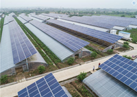 Serre solaire passive moderne commerciale avec grand panneau solaire transparent pour la culture de légumes